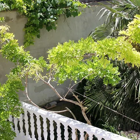 Family Electra Pomorie