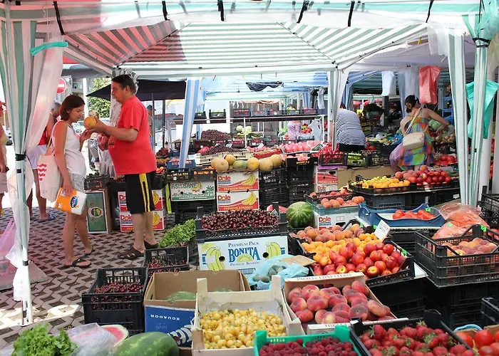 Family Electra ホテル