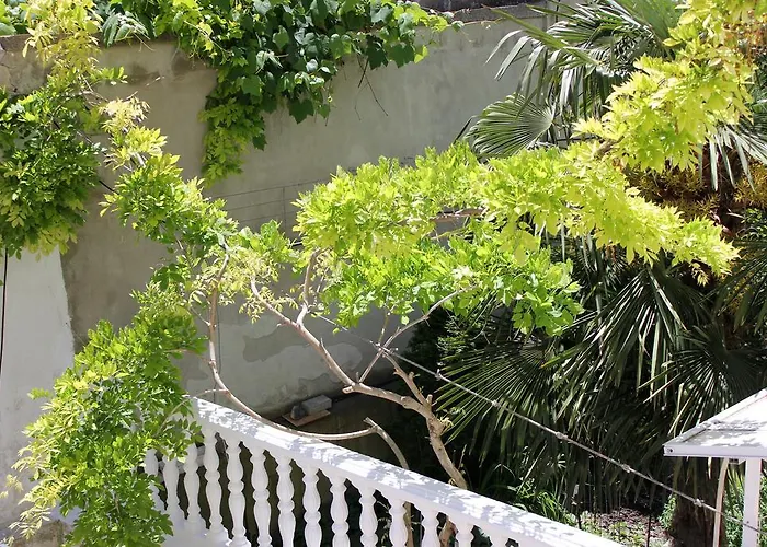 Family Electra ポモリエ