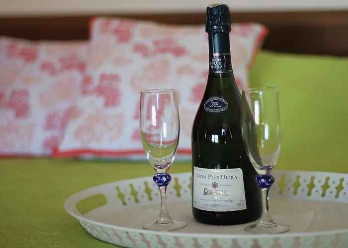 Family Electra 2* ポモリエ