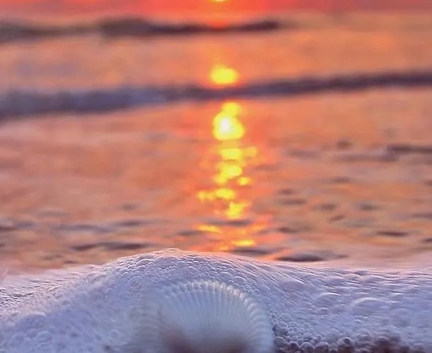 Family Electra Hotel