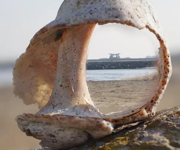 Family Electra ホテル 2*