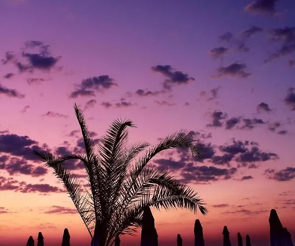 ホテル Family Electra