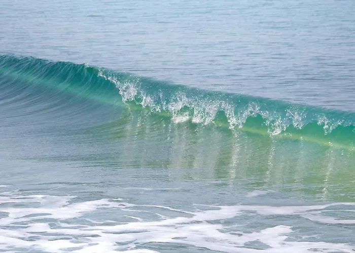 Family Electra 2* ポモリエ